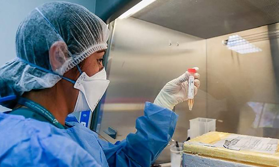 Más de 7 millones de PCR se han tomado en Chile durante la pandemia