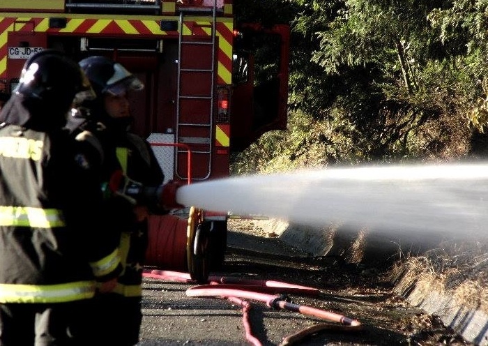 Incendio afecta pastizales y bosque nativo en el sector El Trébol