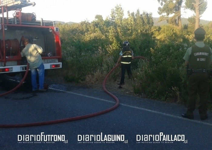 Quema de pastizales en camino de servicio a empresa TEMSA movilizó a bomberos de Los Lagos