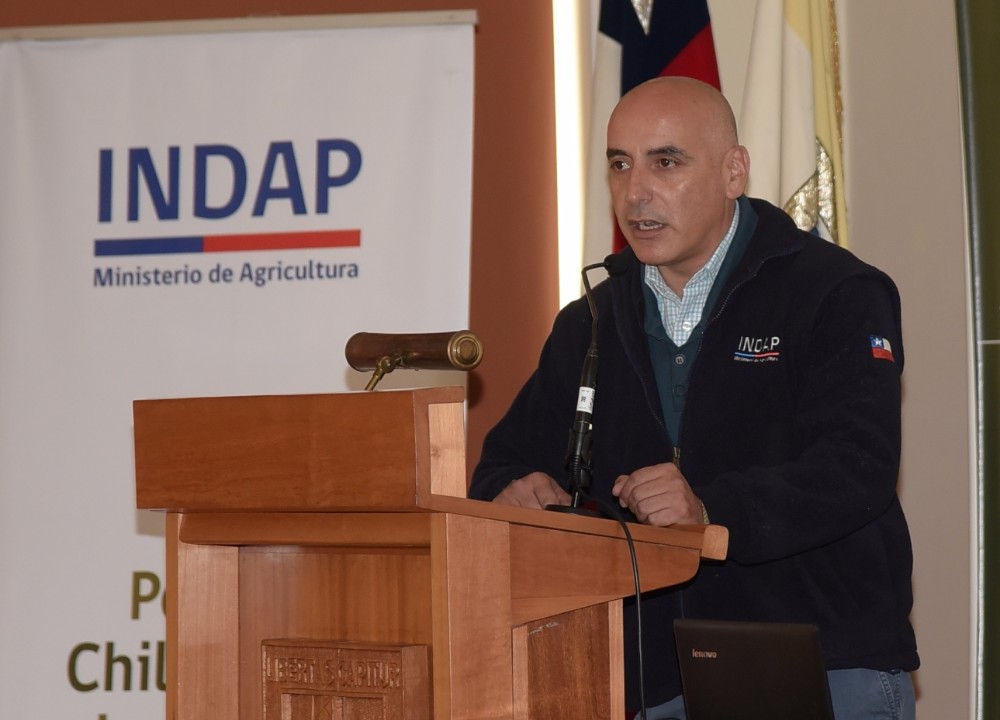 ​INDAP aclara situación de funcionarios del PDTI Panguipulli