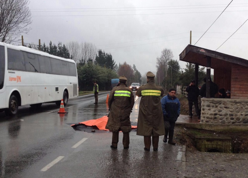 Adulto mayor murió atropellado en la ruta que conecta Lanco con Panguipulli