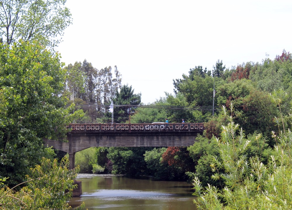 Berger (RN) pide al gobierno explicar en qué situación está proyecto de nuevo puente para Los Lagos