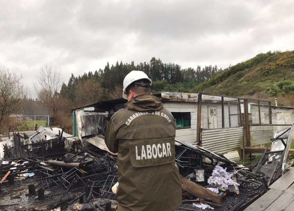 Labocar investigará incendio en campamento Girasoles de Valdivia que dejó dos damnificados