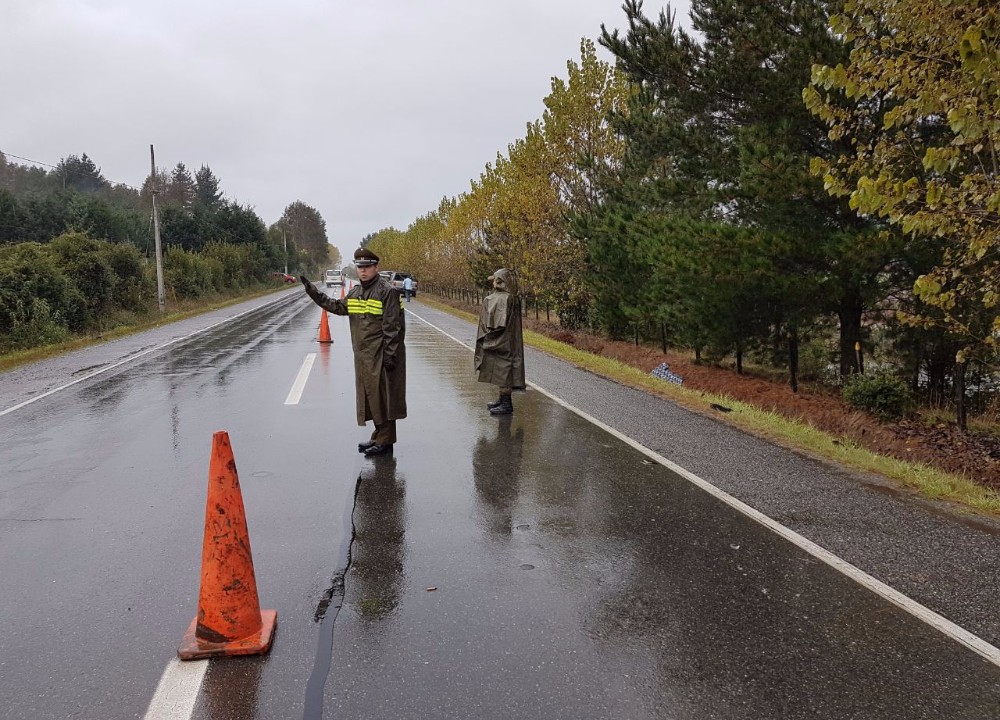 Adulto mayor falleció atropellada en la ruta que une Lanco con Panguipulli