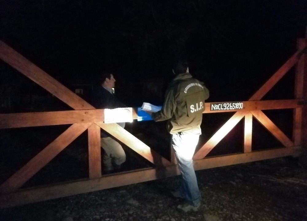 Carabineros de Los Lagos inició campaña para prevenir abigeato previo a Fiestas Patrias