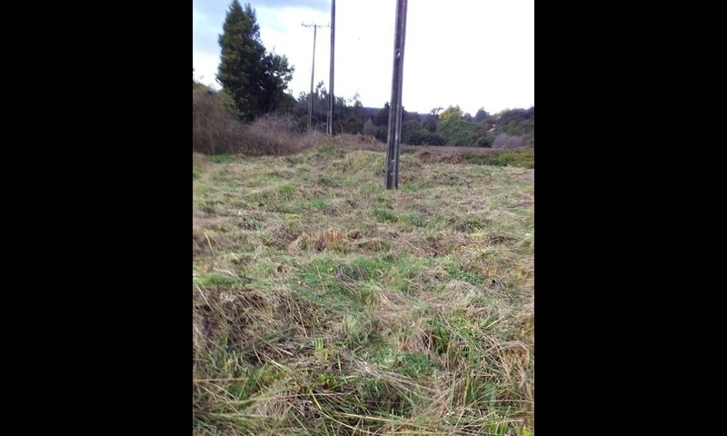 Los Lagos: Vecinos denuncian daño ambiental en Humedal Collilelfu