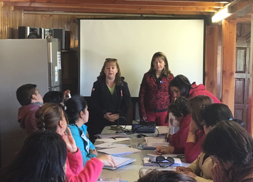 Mujeres rurales del Ranco mejoran sus técnicas de cuidado en ganado ovino y bovino