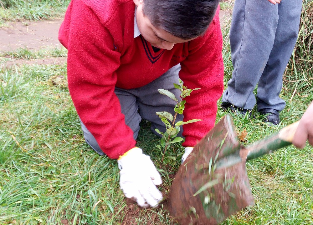 Estudiantes laguinos conmemoraron Día Internacional del Medio Ambiente plantando árboles